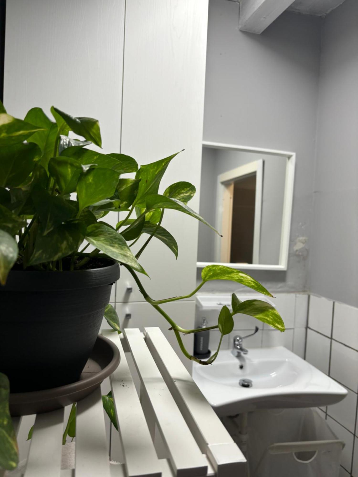 Bed and Breakfast Capitolium Ad Brescia Zewnętrze zdjęcie